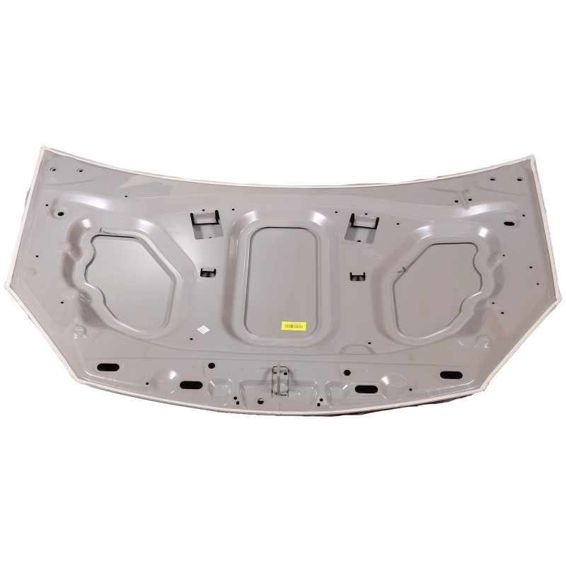 Новий капот для RENAULT SANDERO I 2008-2013 від TEMPEST (модель: 6001551793)