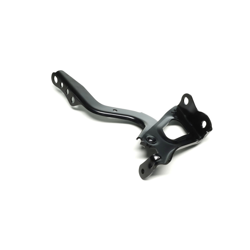 Правий завіс капоту для Toyota RAV4 2019 - Tempest 534100R080