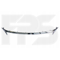 Молдинг решітки радіатора Lexus CT200H 11-14 (Тайвань) хром