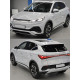 Заднє скло (обігрів) BYD Yuan Plus 2021- Starglass