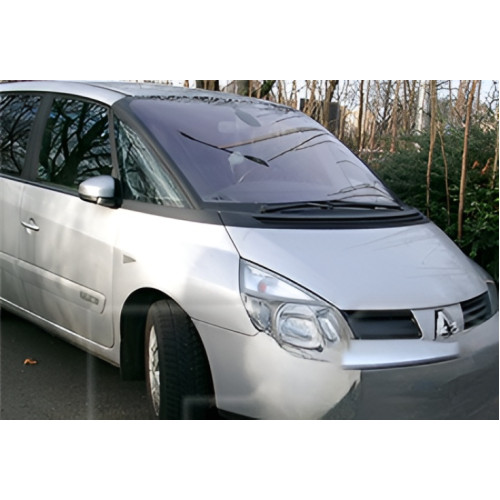 Заднє скло (обігрів) Renault Espace / Grand Espace 2002-2014 XYG
