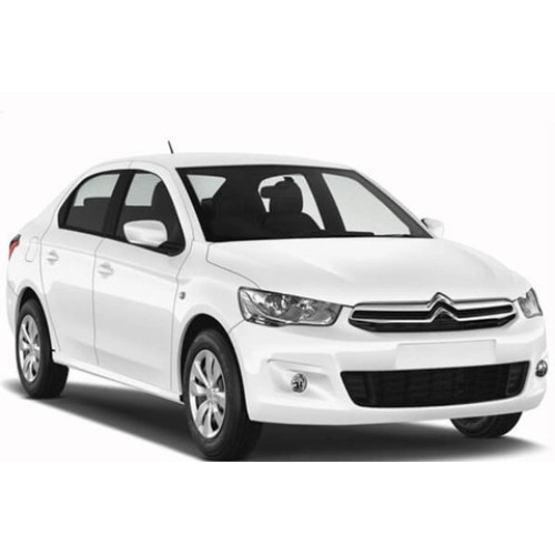 Ліхтар підсвітки номеру Citroen C-Elysee, C3 Picasso, DS3, DS5 (Depo)