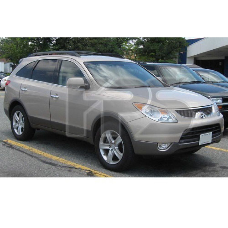 Молдинг лобового скла Hyundai ix35 / Veracruz 07-12 (Pilkington)