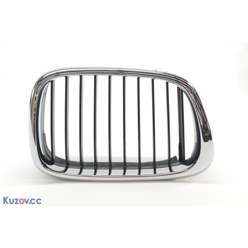 Решітка в капоті пра. BMW 5 E39 (Tempest)