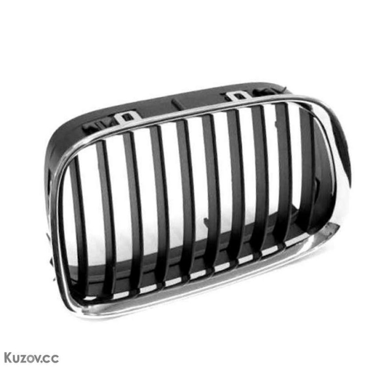 Решітка в капоті ліва  BMW 5 E39 (Tempest)