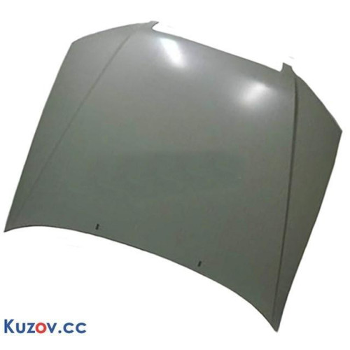 Капот Chery Amulet 2004-2012 Tempest A158402010DY