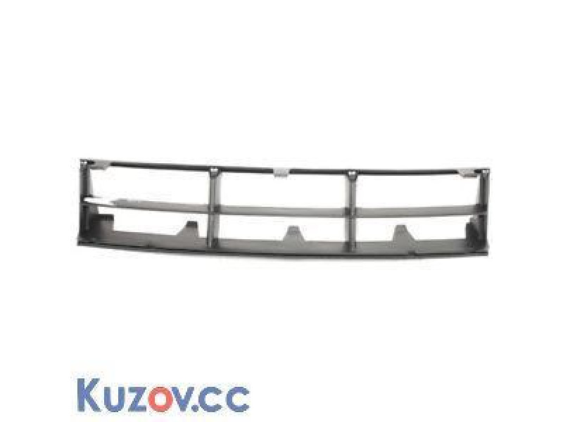 Решітка бампера BMW 5 E39 (Tempest)