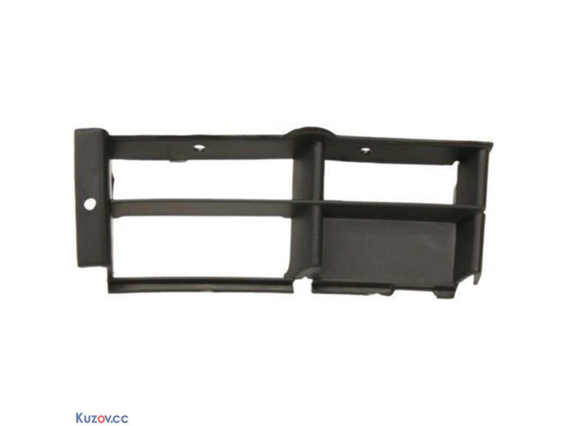 Решітка бампера права BMW 5 E39 (Tempest)