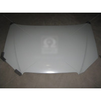 Капот BYD F3 2006-2013 Tempest