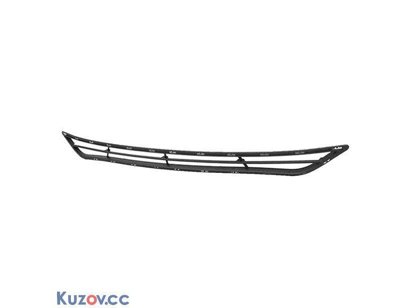 Решітка бампера пер. Hyundai Sonata 11- (Tempest)