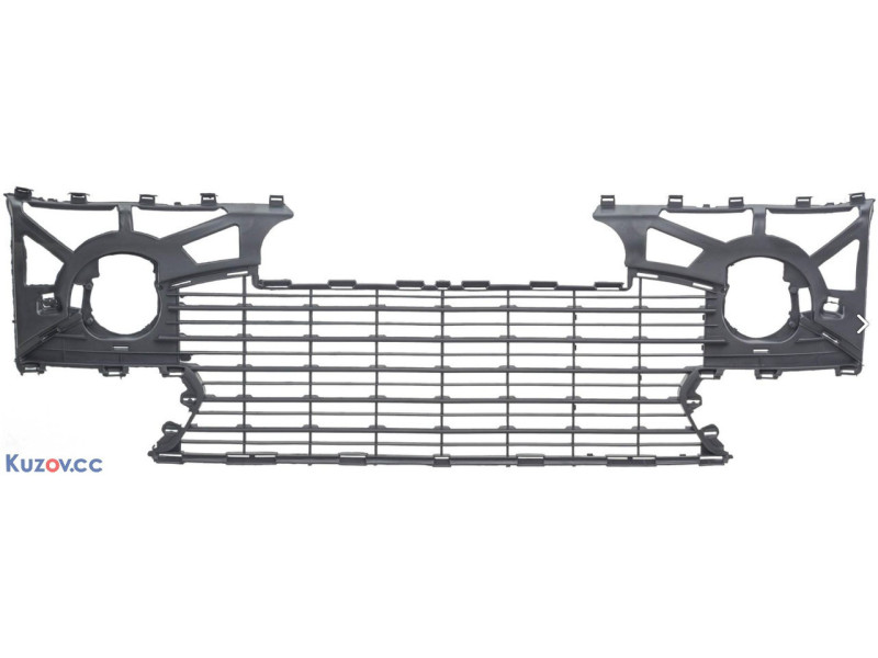 Решітка бампера Peugeot 307 05-07 (Tempest)