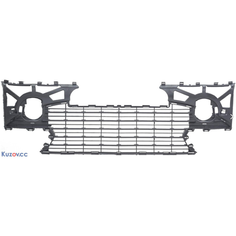 Решітка бампера Peugeot 307 05-07 (Tempest)