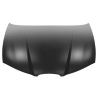 Капот Seat Ibiza 2002- (Tempest)