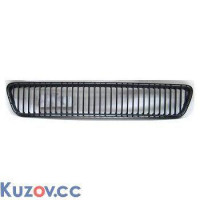 Решітка бампера пер. Skoda Fabia 05-07 (Tempest)