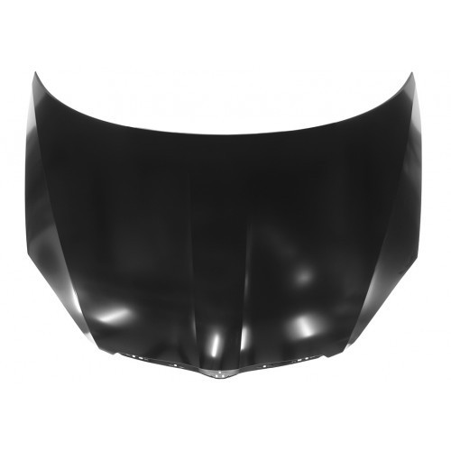 Капот з герметиком Skoda Fabia 2 2007-2010 Китай 5J0823031A