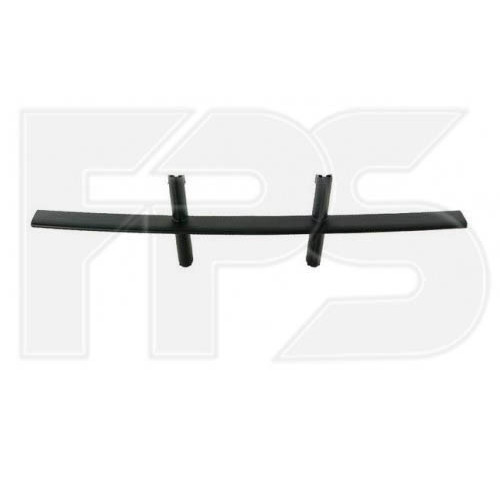 Решітка бампера середня BMW 5 E60 2003-2006 (FPS)