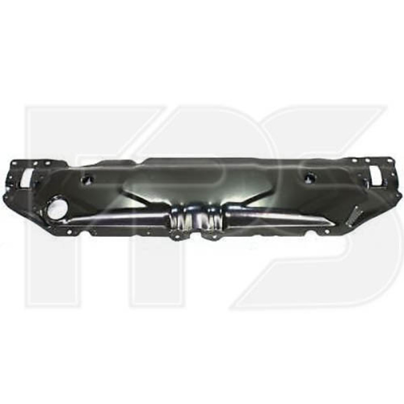 Накладка над радіатором BMW 5 E60 03-10 (FPS)