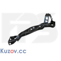 Ремчастина панелі передньої (окуляр) ліва Toyota Prius 09-15 (FPS)