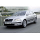 Передні двері ліві Skoda Octavia A5 2005-2013 FPS 1Z0831055