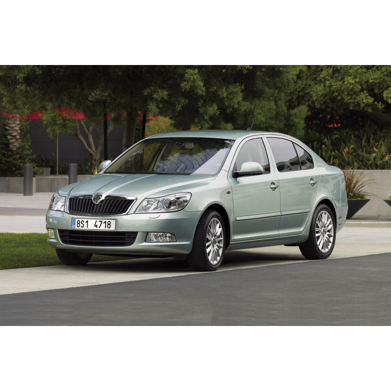 Двері задні праві Skoda Octavia A5 2005-2013 FPS 1Z5833056