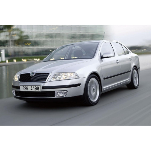 Двері передні праві Skoda Octavia A5 2005-2013 FPS 1Z0831056