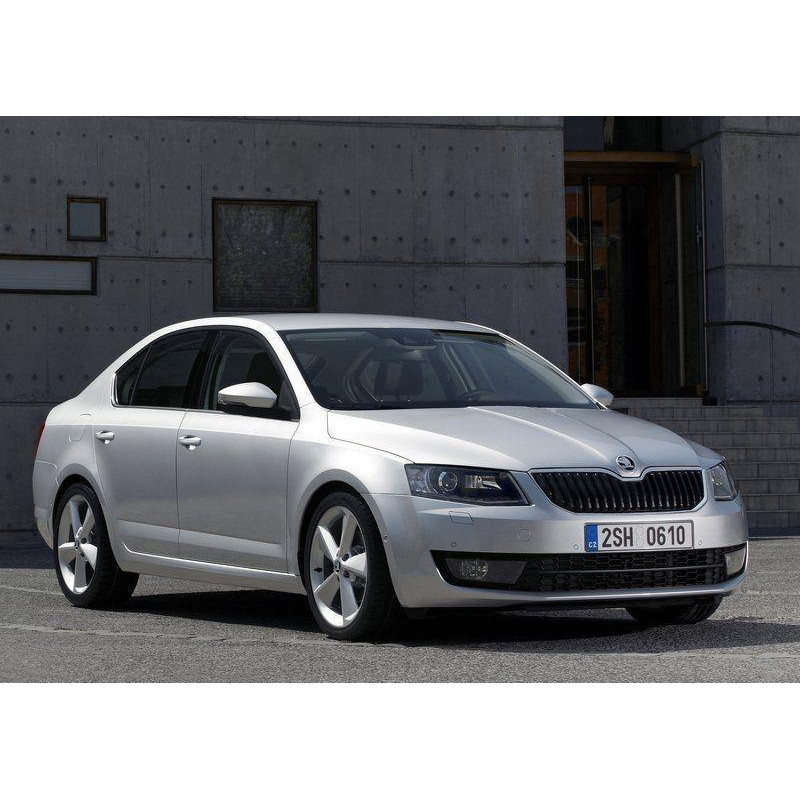 Задні двері праві Skoda Octavia A7 2013- (FPS) 5E5833052