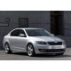 Задні двері праві Skoda Octavia A7 2013- (FPS) 5E5833052