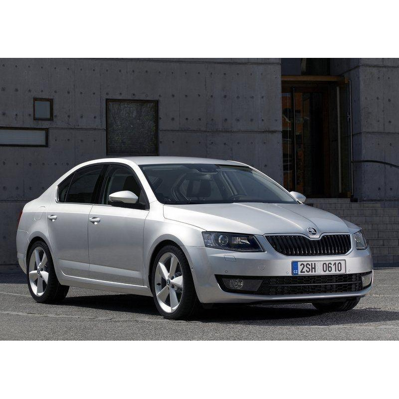 Задні двері ліві Skoda Octavia A7 2013- (FPS) 5E5833051
