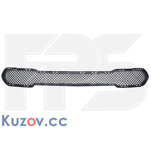 Решітка бампера середня BMW X1 E84 2009-2012 (FPS)