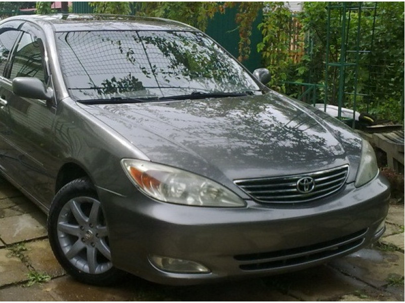 Решітка радіатора Toyota Camry XV30 04-06 (FPS) 5310106050