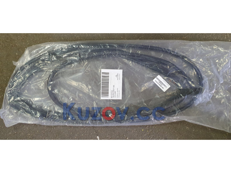 Молдинг лобового скла Peugeot 405 1987-1996 ущільнювальна гумка скла