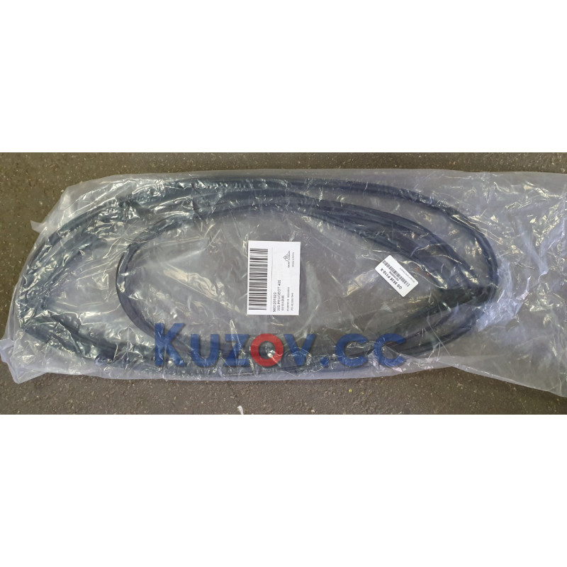 Молдинг лобового скла Peugeot 405 1987-1996 ущільнювальна гумка скла