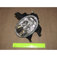 Протитуманна фара Peugeot 206 права (DEPO) 6205T1