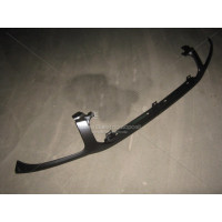 Смужка під фари Toyota RAV4 04-06 (FPS) 5393142030