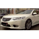 Решітка радіатора Honda Accord 8 EUR 11-13 (Signeda) 71122TL0G51, 71122-TL0-G51