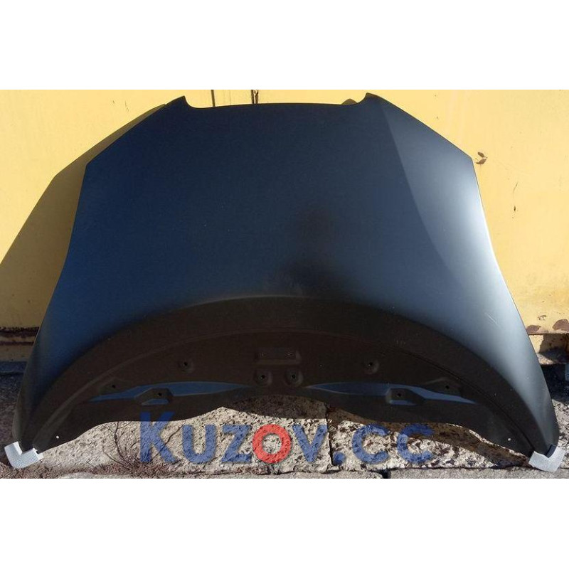 Капот Nissan Leaf 2010-2017 Signeda F510M3NAMB