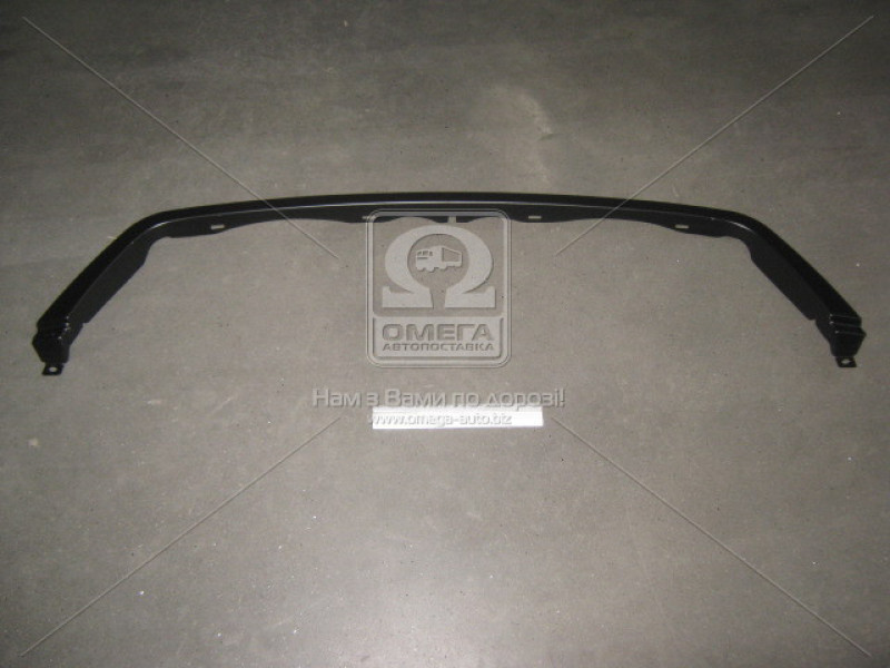 Накладка решітки радіатора Mercedes Sprinter 00-06 (FPS) A9018880173