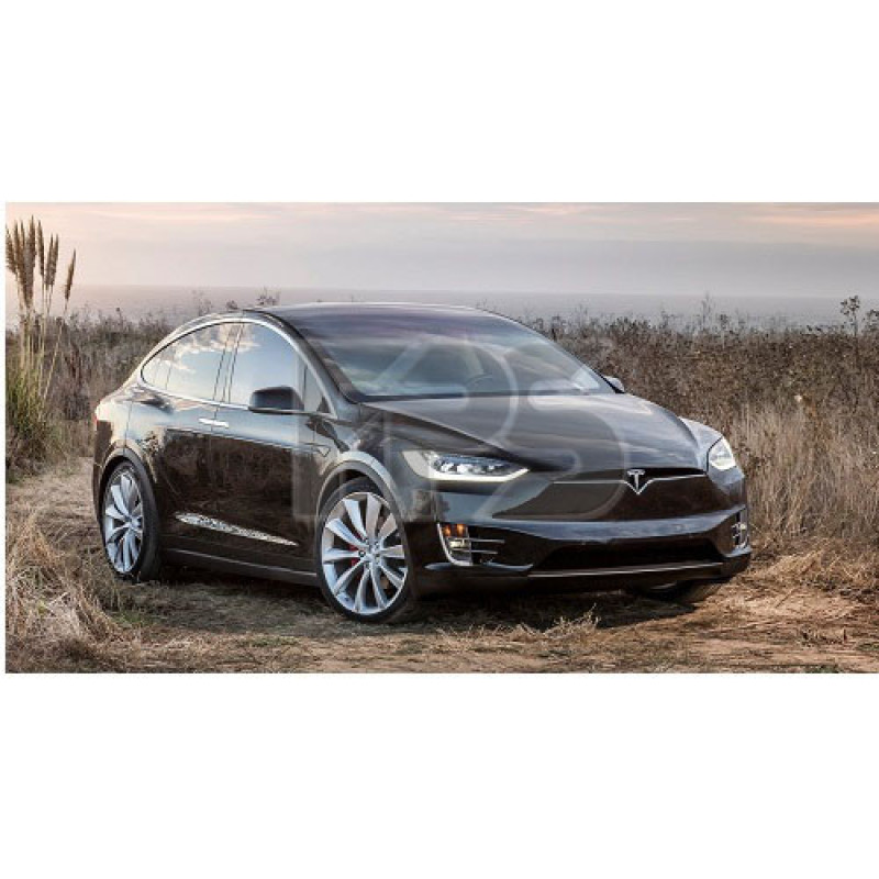 Скло дверне заднє праве Tesla Model X 15- (XYG)