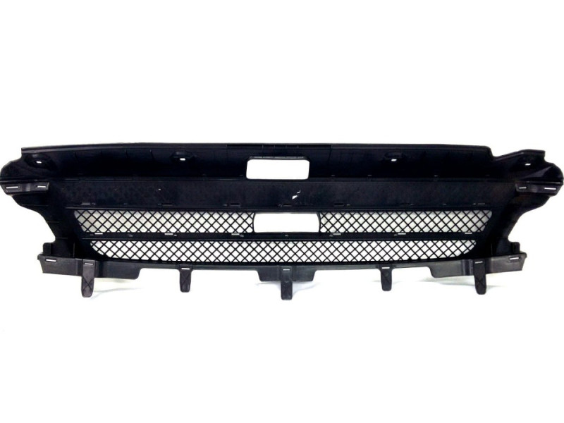 Решітка радіатора 4ECO Daily 06 - внутр. (FPS) 3802803