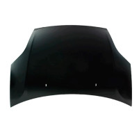 Капот Ford Fiesta 2006-2009 (FPS)  1143983