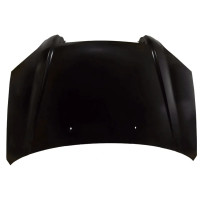 Капот Hyundai Tucson 2004-2009 Signeda 664002E020