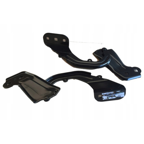 Петля капота ліва Ford Escape 13-16, Ford Focus 3 2011-2014 (Signeda) BM5Z-16797A