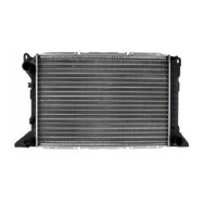 Радіатор охолодження двигуна Ford Transit 5 2.5 TD MT -AC 94- (Van Wezel) 94VB8005GC