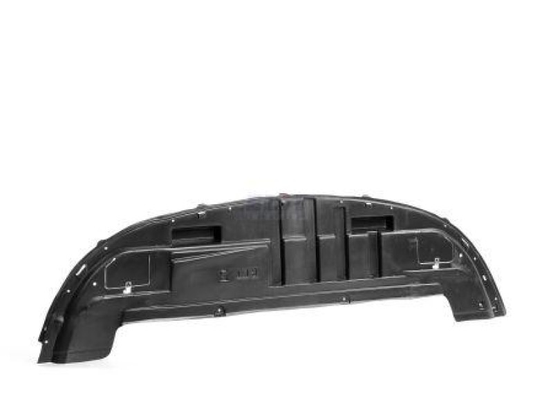 Захист під бампер (передній) Renault Clio 3 2005-2012 Elit 8200682328