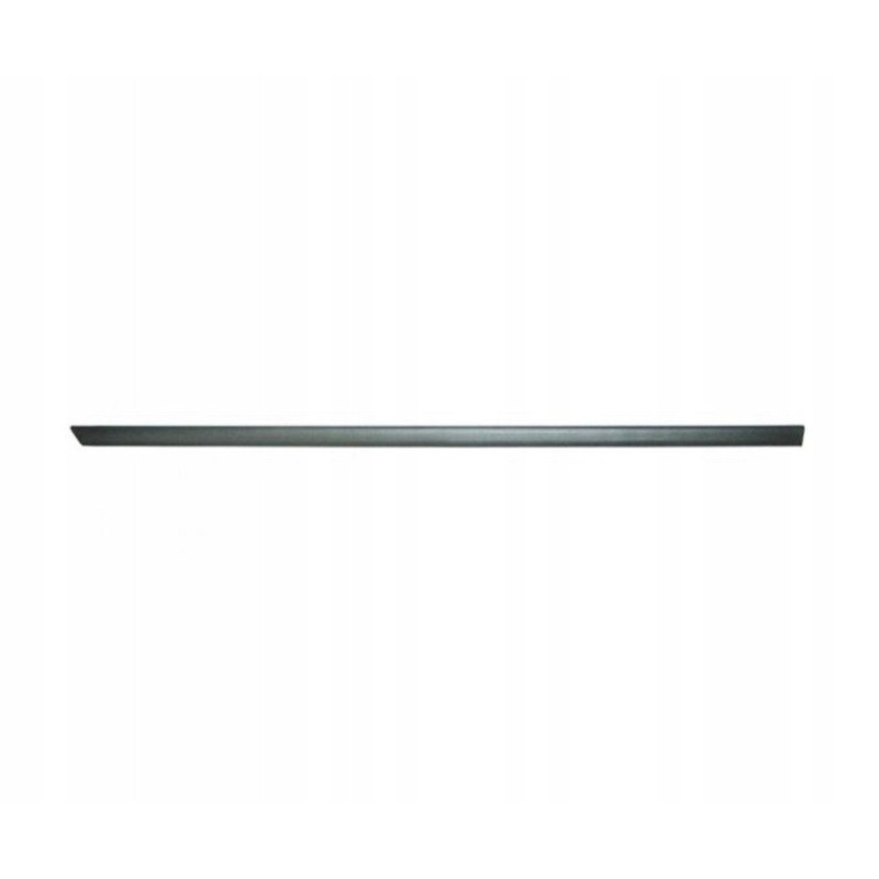 Молдинг передньої двері лівий Ford Fiesta 5 01-06 (Elit) 1219426