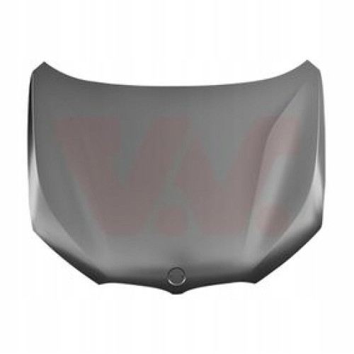 Капот сталь BMW X1, IX1 U11/U12 2022- FPS 41009629102