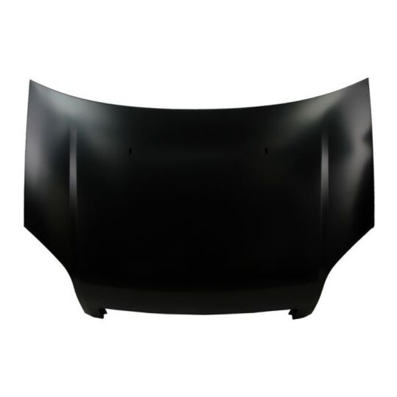 Капот Ford Fusion 02-12 Тайвань 1426248