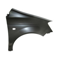 Крило переднє праве Hyundai Getz 02-05 (з отв.) (FPS) 663211C350