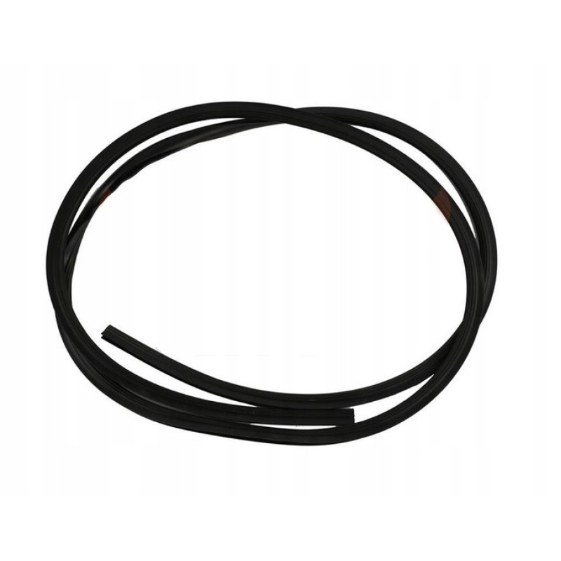 Молдинг лобового скла Iveco Daily, Opel Movano, Renault Master 1999-2014 (Icor) 504085693, 8200106346