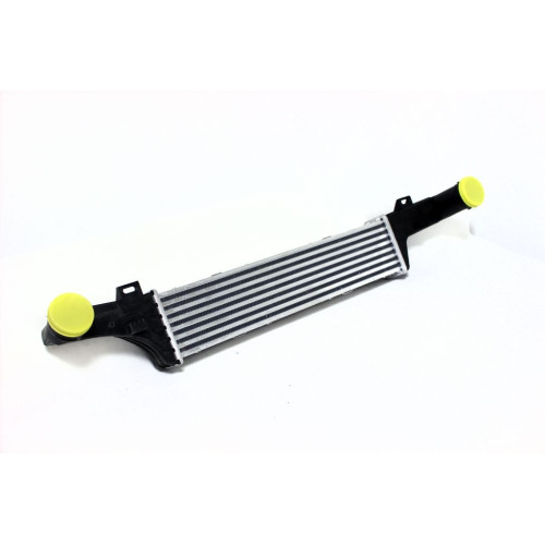 Інтеркулер Mercedes E-class W210 (AVA) 2105000400, A2105001300